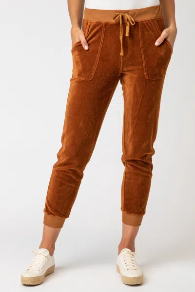 Xcvi Carlin Jogger In Brown