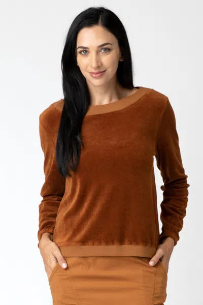 Xcvi Dakota Pullover In Brown