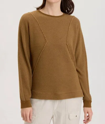 Xcvi Delsi Pullover In Gingerbread