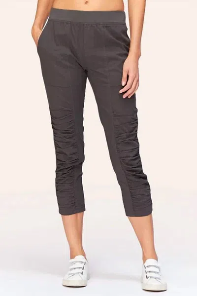 Xcvi Geyser Crop Pants In Charcoal In Black