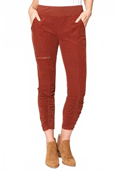 Xcvi Malanda Cords Pants In Nutmeg In Brown