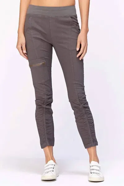 Xcvi Malanda Pants In Charcoal In Pink