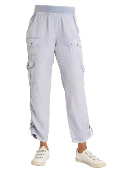 Xcvi Sonova Pant In Spry Blue In Gray