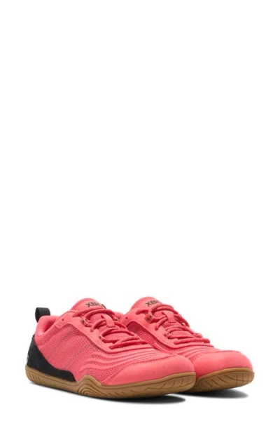 Xero Shoes 360° Cross Training Shoe In Multi
