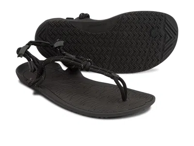 Xero Shoes Aqua Cloud In Black