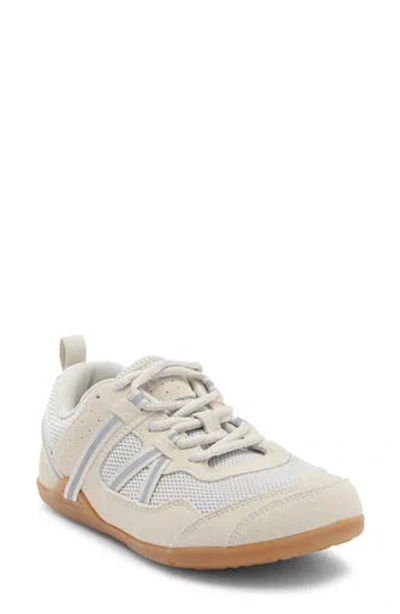 Xero Shoes Prio Suede Running Shoe In Gray