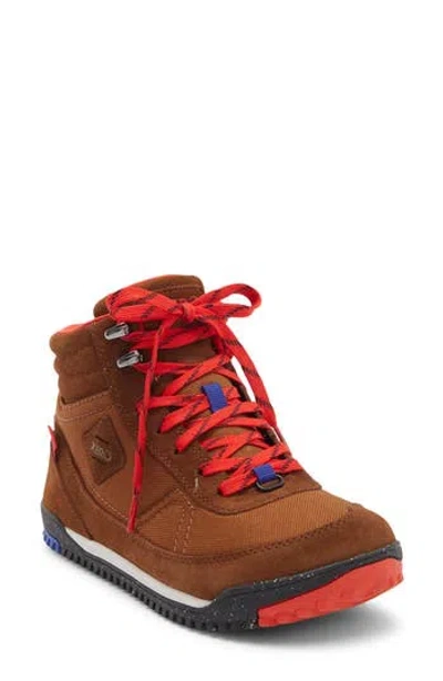 Xero Shoes Ridgeway Hiking Boot In Brown
