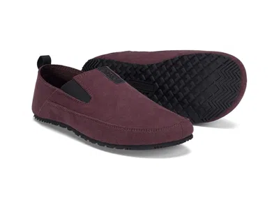 Xero Shoes Sunrise In Multi