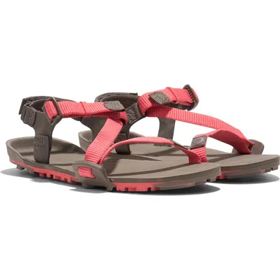 Xero Shoes Z-trail Ev Barefoot Hiking/running Sandal In Multi