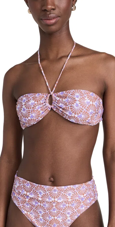 Xirena Audri Bikini Top Violet Shells