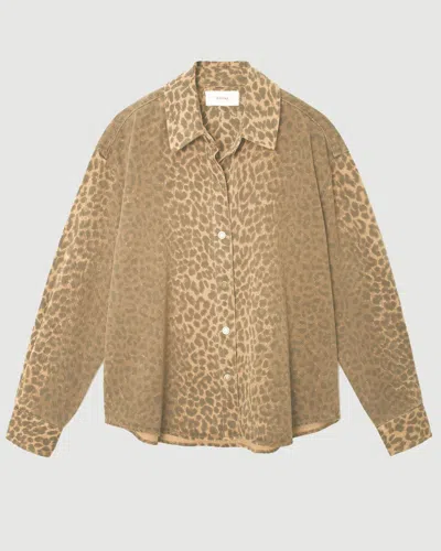 Xirena Bengal Gia Shirt In Brown