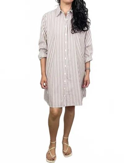 Xirena Bobby Shirt Dress In Cafe In White