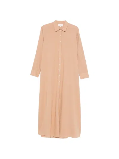 Xirena Boden Buttoned Long-sleeves Midi Dress In Brown