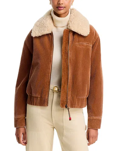 Xirena Bradley Sherpa Collar Cotton Corduroy Jacket In Brown