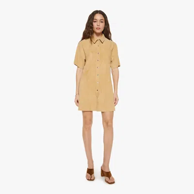 Xirena Chloe Dress Fawn In Gold