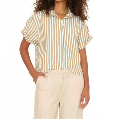 Xirena Drake Stripe Shirt In Tobac Green In Pink