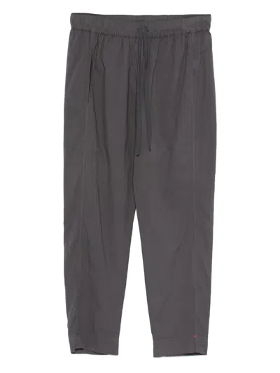 Xirena Draper Drawstring-waistband Trousers In Gray