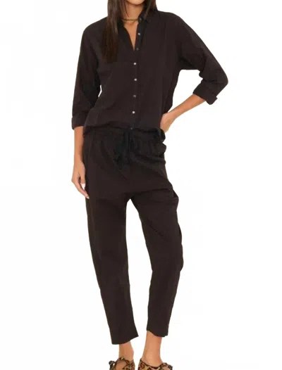 Xirena Draper Pull On Pants In Black In Brown