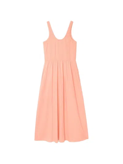 Xirena Fenix Button-up Midi Dress In Pink