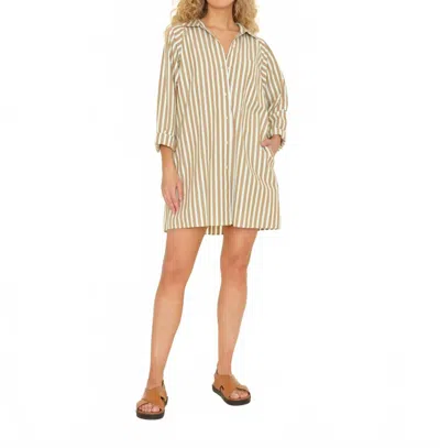 Xirena Flora Dress In Tobac Green In Brown