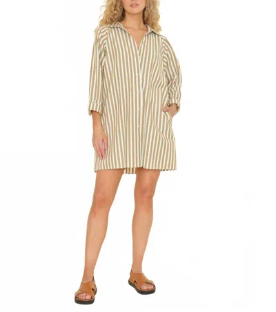 Xirena Flora Shirt Dress In Green In Brown