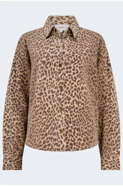 Xirena Gia Denim Shirt In Sable In Brown
