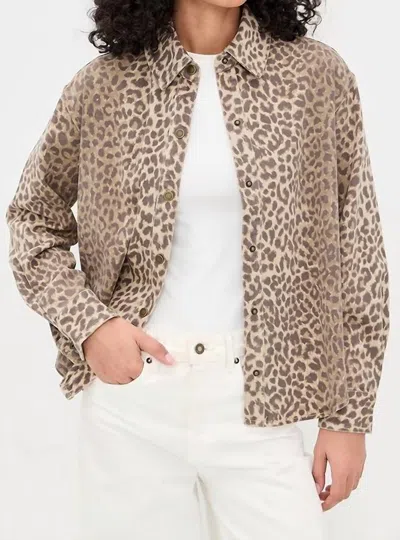Xirena Gia Leopard Print Shirt In Sable In Brown