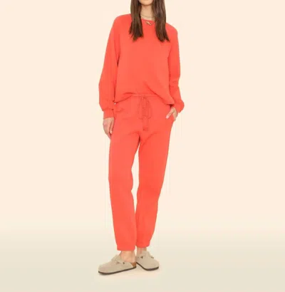 Xirena Hemming Sweatpant In All Star Red In Orange