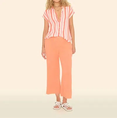 Xirena Jayde Pant In Cantelope In Pink