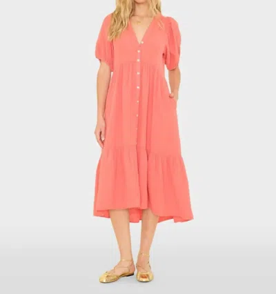 Xirena Lennox Dress In Blushwood In Brown