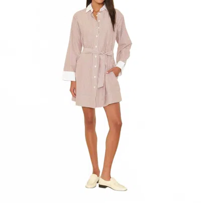 Xirena Louie Mini Dress In Nutmeg In Neutral
