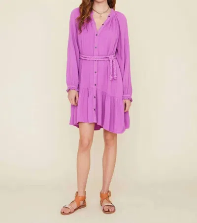 Xirena Rainey Dress Brambleberry In Purple