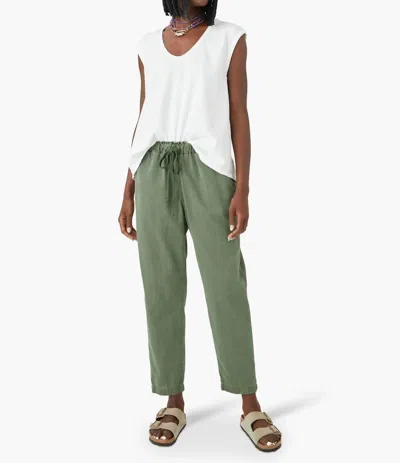 Xirena Rex Pant In Olive Sage In Multi