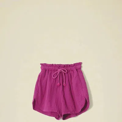 Xirena Starla Shorts In Purple