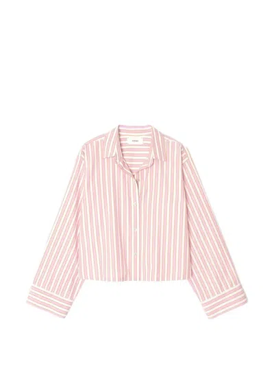 Xirena Striped Shirt In Pink