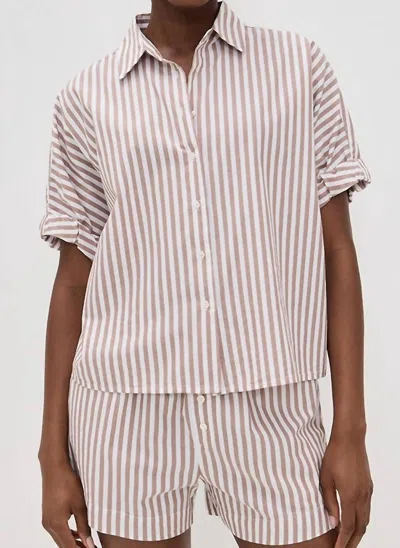 Xirena Teddy Button Down Shirt In Café Stripe In Multi