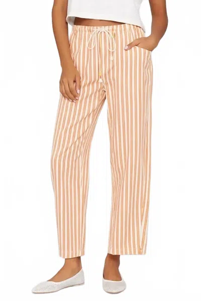 Xirena Women's Baxter Wide Leg Pants In Honeycomb In Multi