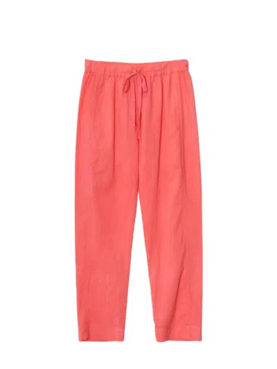 Xirena Women's Brinkley Pants In Paprika In Red