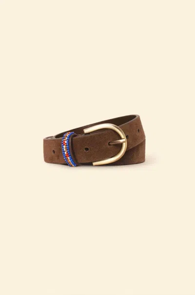 Xirena Women's Brix Belt In Deep Brown