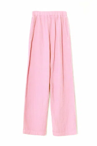 Xirena Women's Demsey Pant In Blossom In Pink