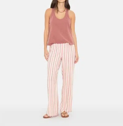 Xirena Women's Joseph Pant In Dusty Pink Stripe In Brown