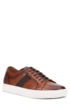 X-ray Xray Conor Low Top Sneaker In Cognac