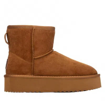 Xti Women's Booties In Camel In Brown