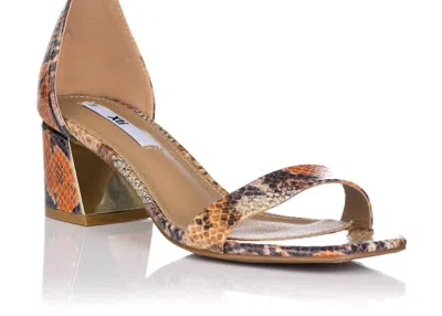 Xti Women's Dressy Sandals In Open Brown In Multi