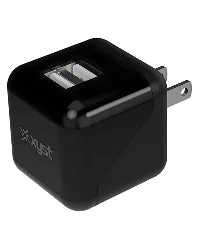 Xyst 2.4-amp Dual Usb Foldable Wall Charger