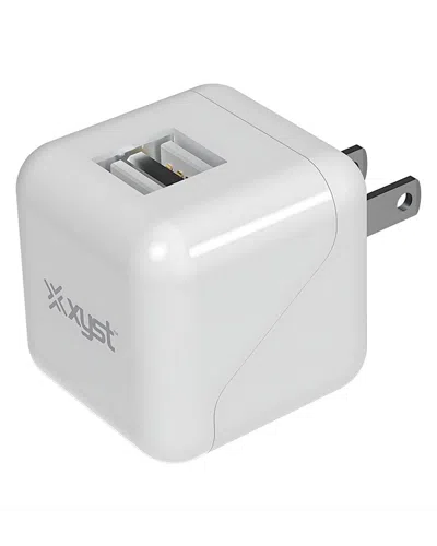 Xyst 2.4-amp Dual Usb Foldable Wall Charger