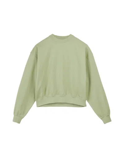 Y-3 Adidas Sweatshirt In Green