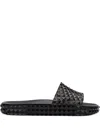 Y/project X Melissa Court Slides
