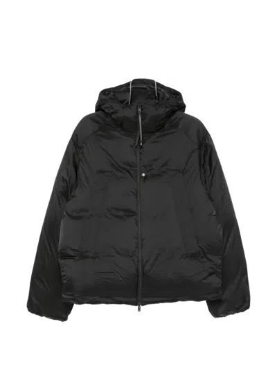 Y-3 Hooded Puffer Jacket In Black