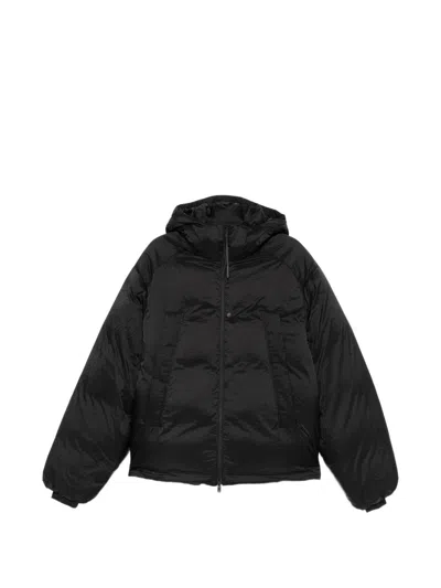 Y-3 Puffer Down Jacket In Black